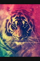 /album/fenykepgaleria/tigris-png/